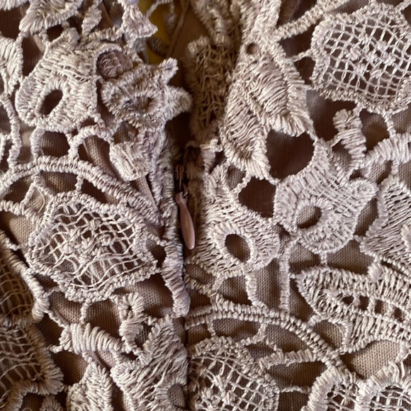 Nordstrom Rack Lace Thistle Dress - Picture 6 of 12